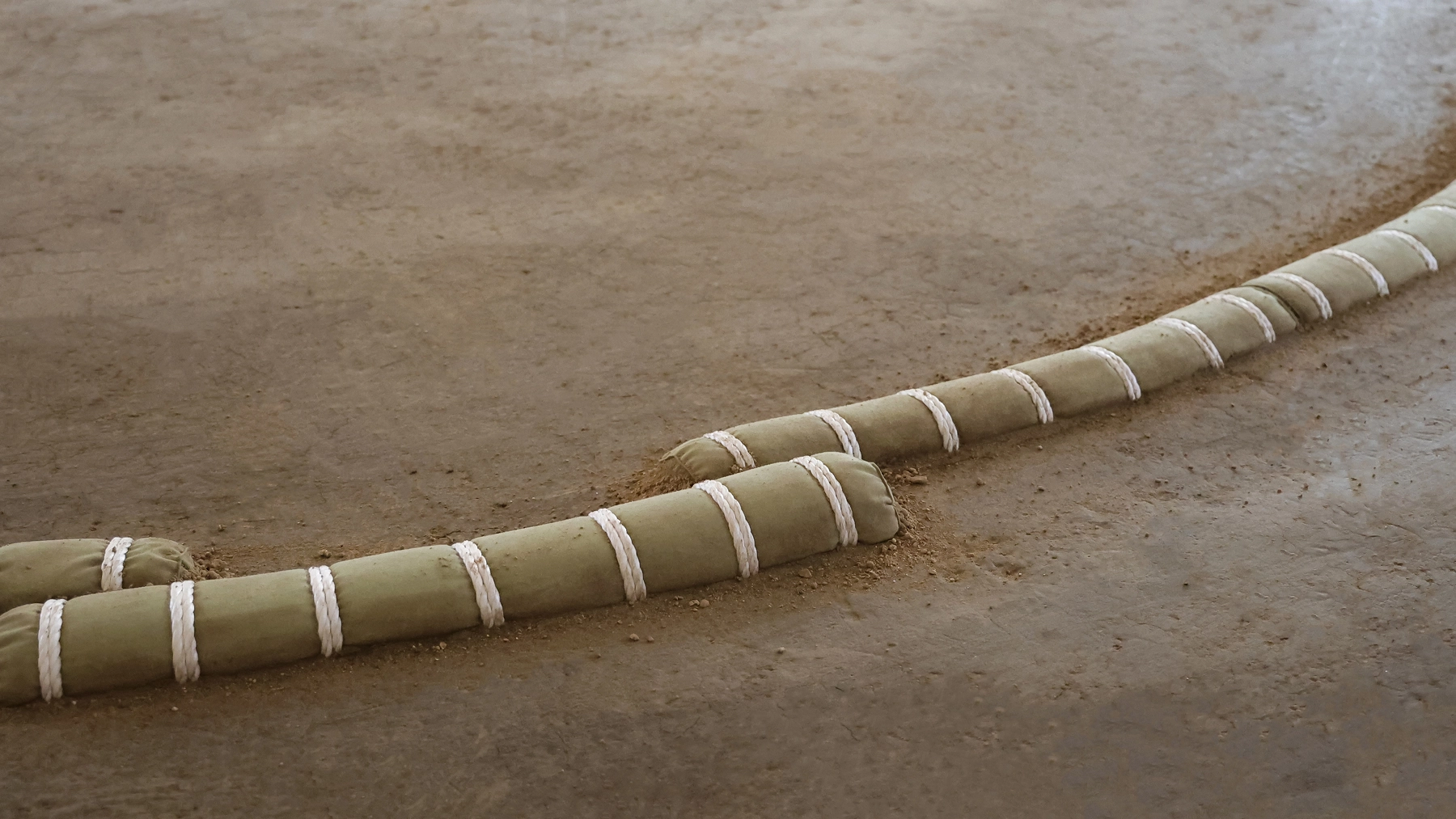 特別席イメージ画像2